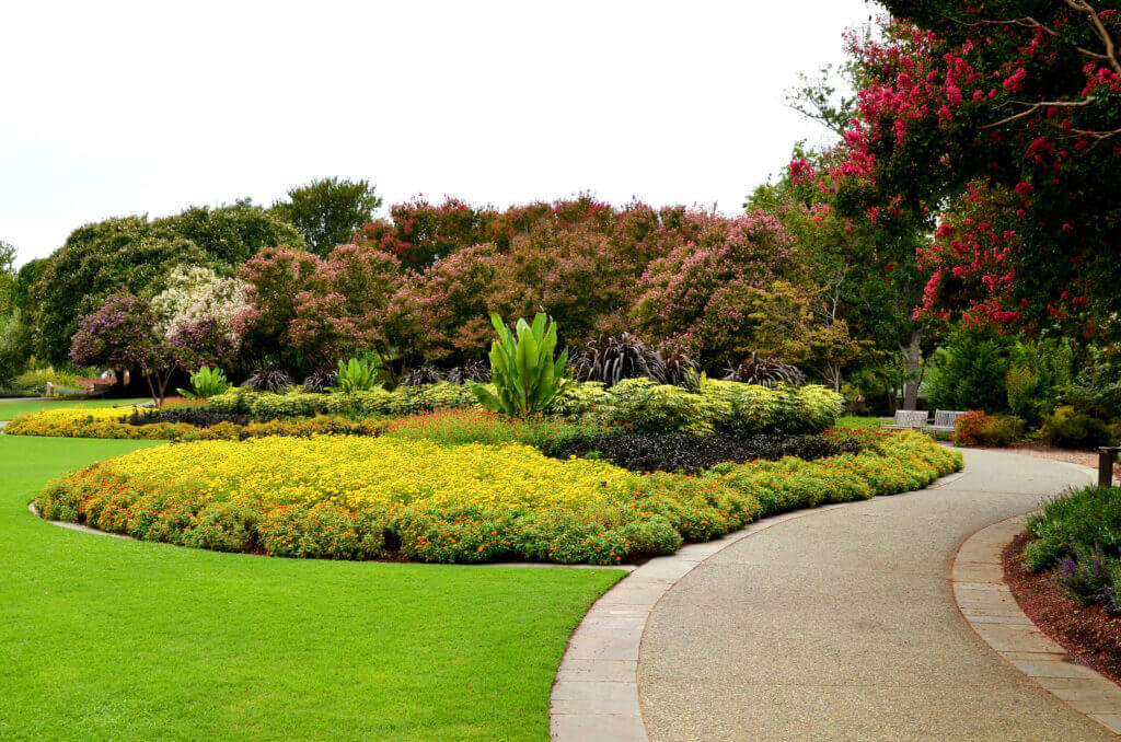 path in the garden